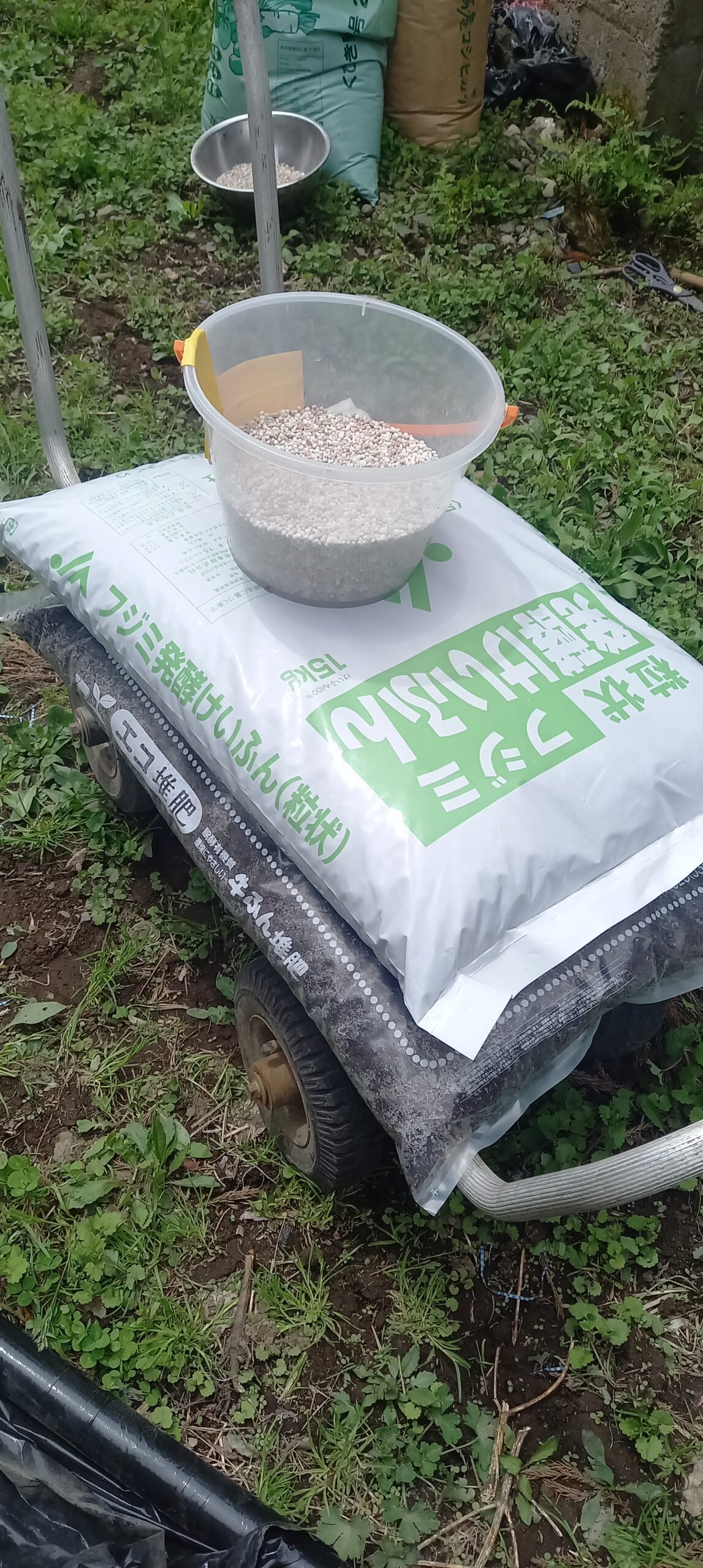 サツマイモ 肥料